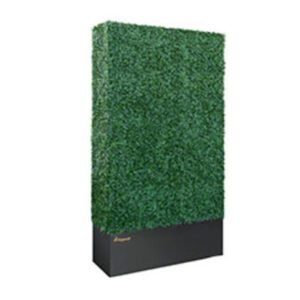 Box Hedge Wall