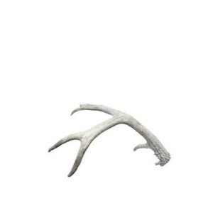 Antler Shed - Medium