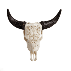 Carved Steer Skull