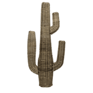 Wicker Cactus - Medium